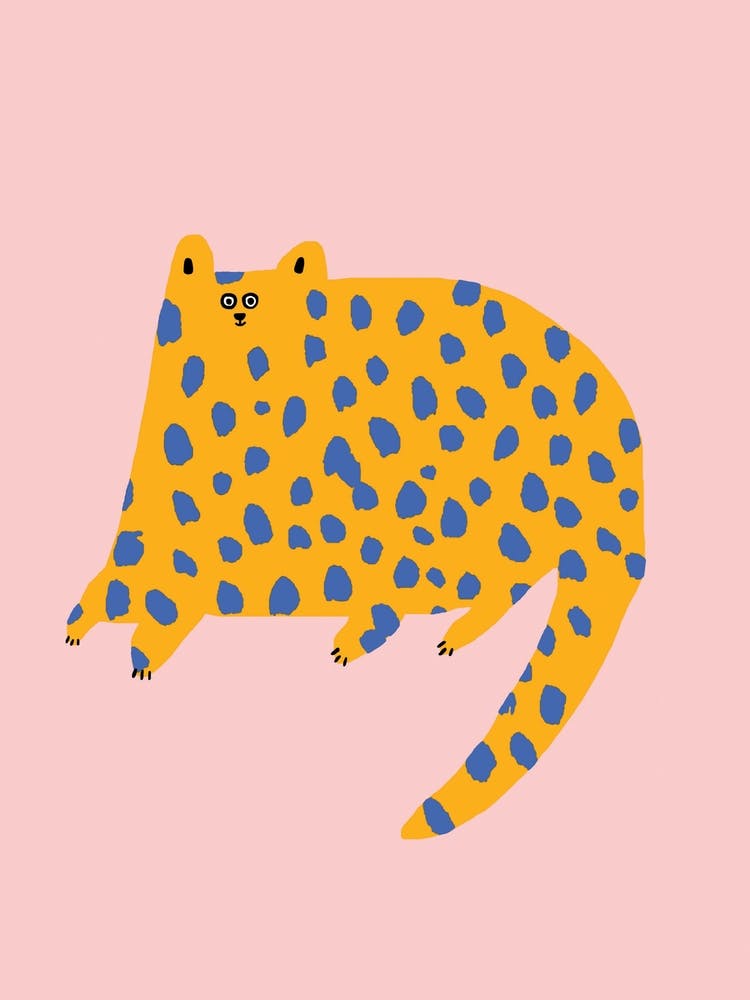 Dotty Cat