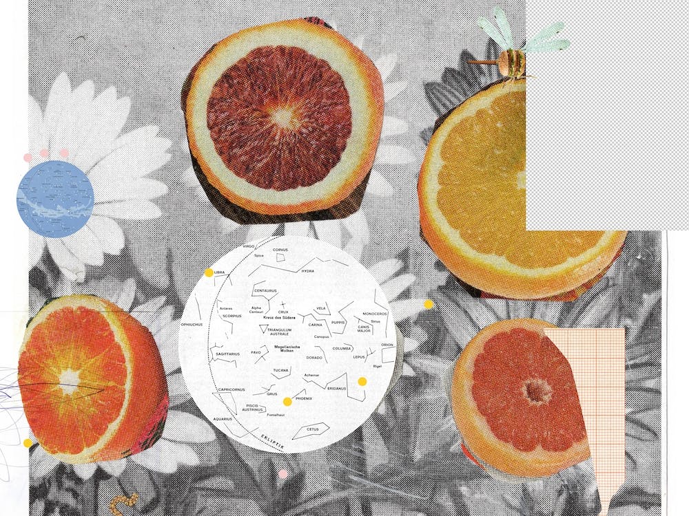Fruity Flowers
