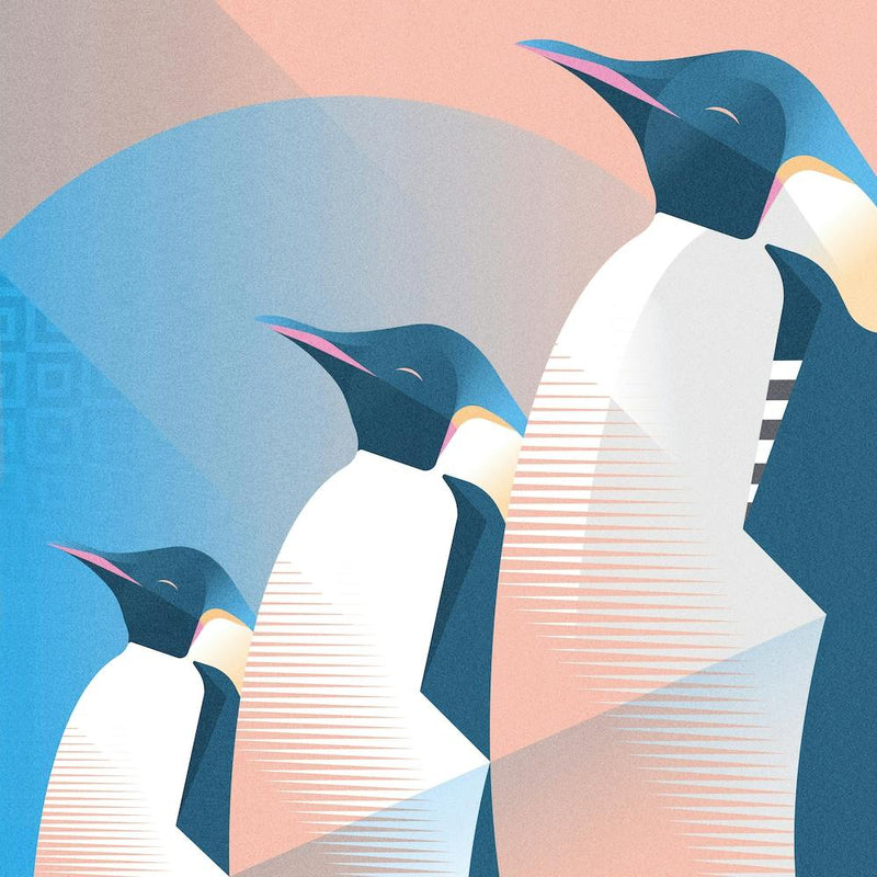 Emperor Penguin Square