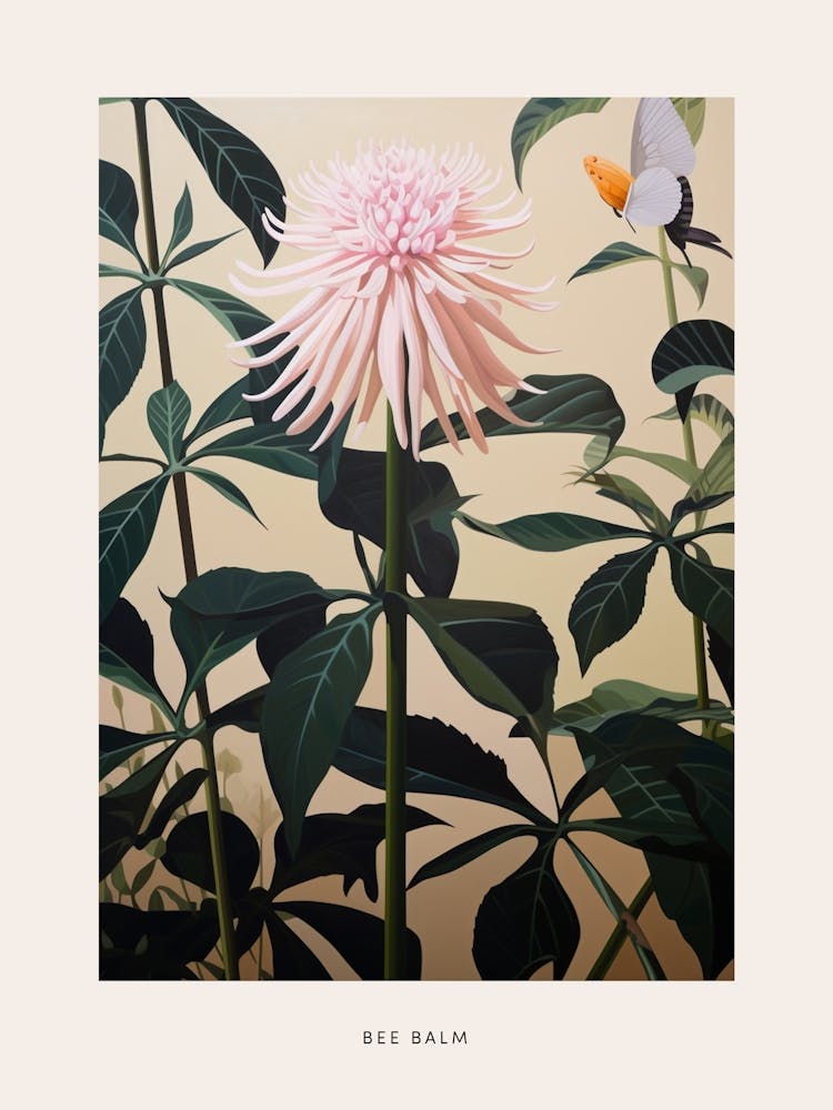 Flower Illustration Bee Balm 2 Poster