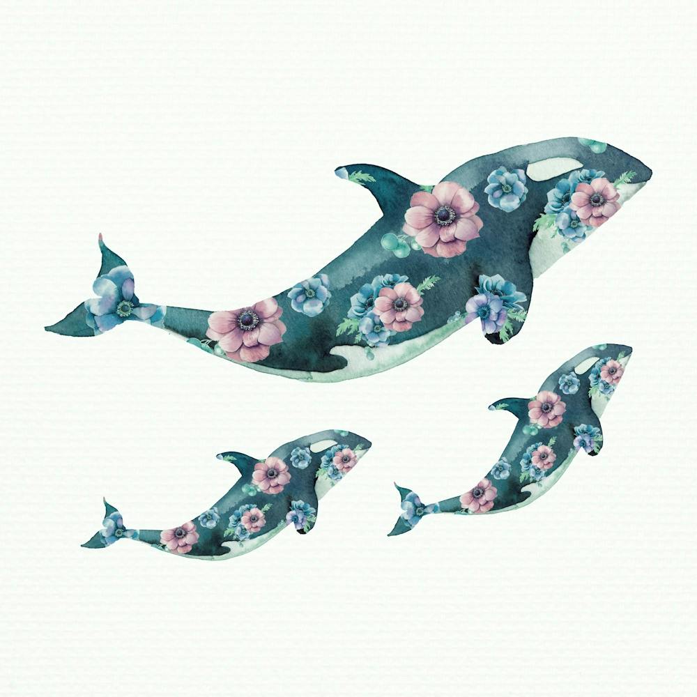 Orca Whales And Flowers