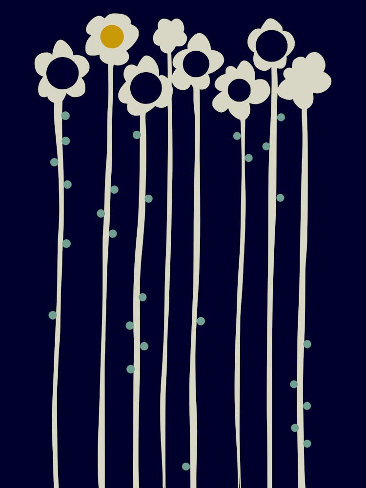 expectant iteration winter sun flowers