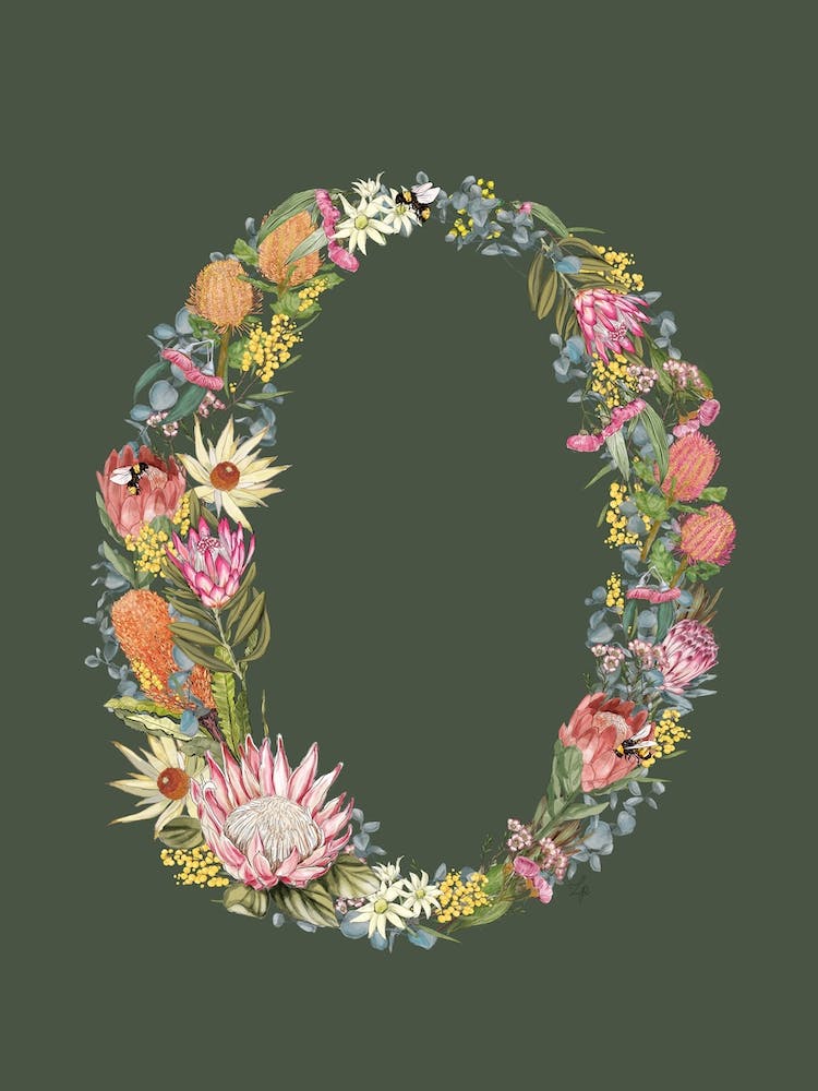 O Olive Alphabet Letter