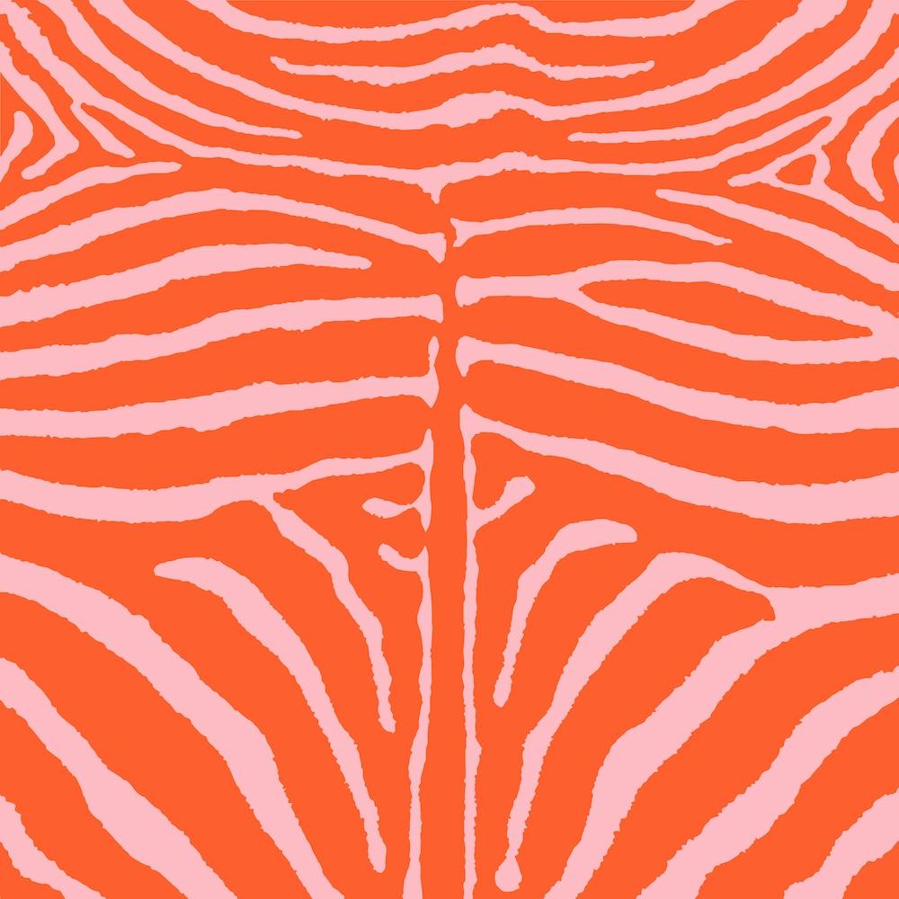 Zebra Print Orange and Pink