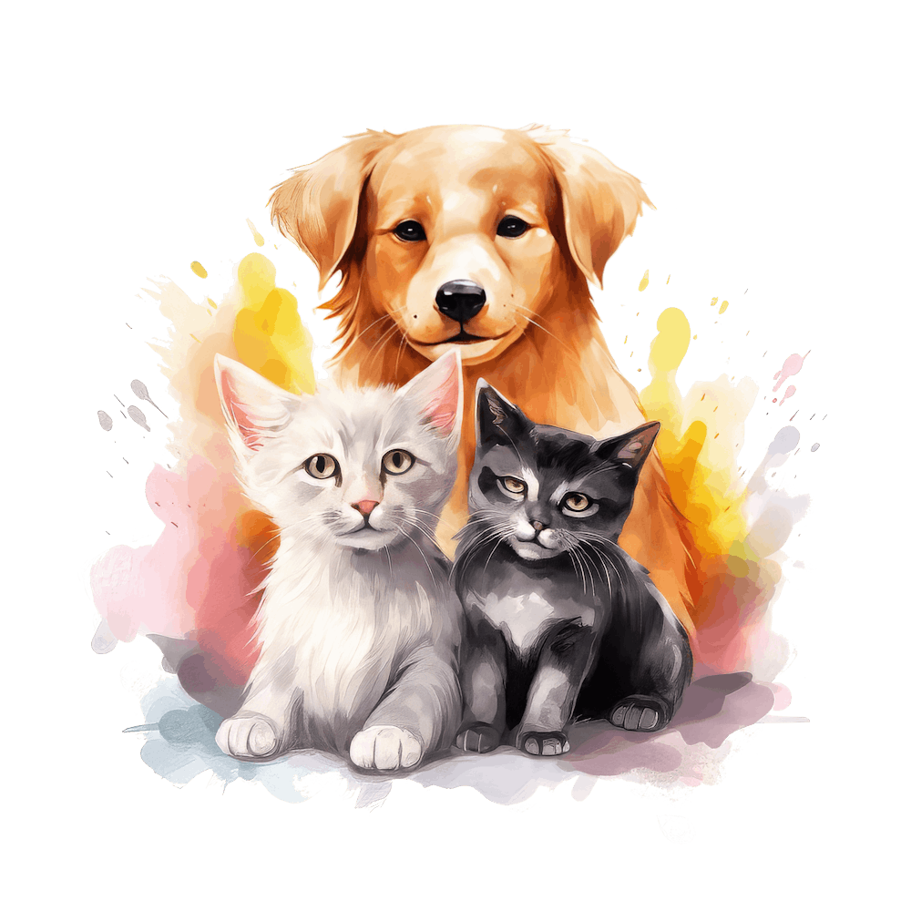 Amis Chat et Chien 19