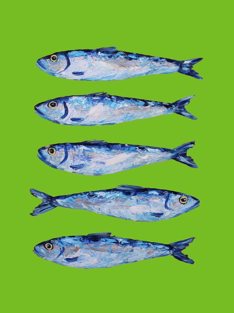 Sardines On Green
