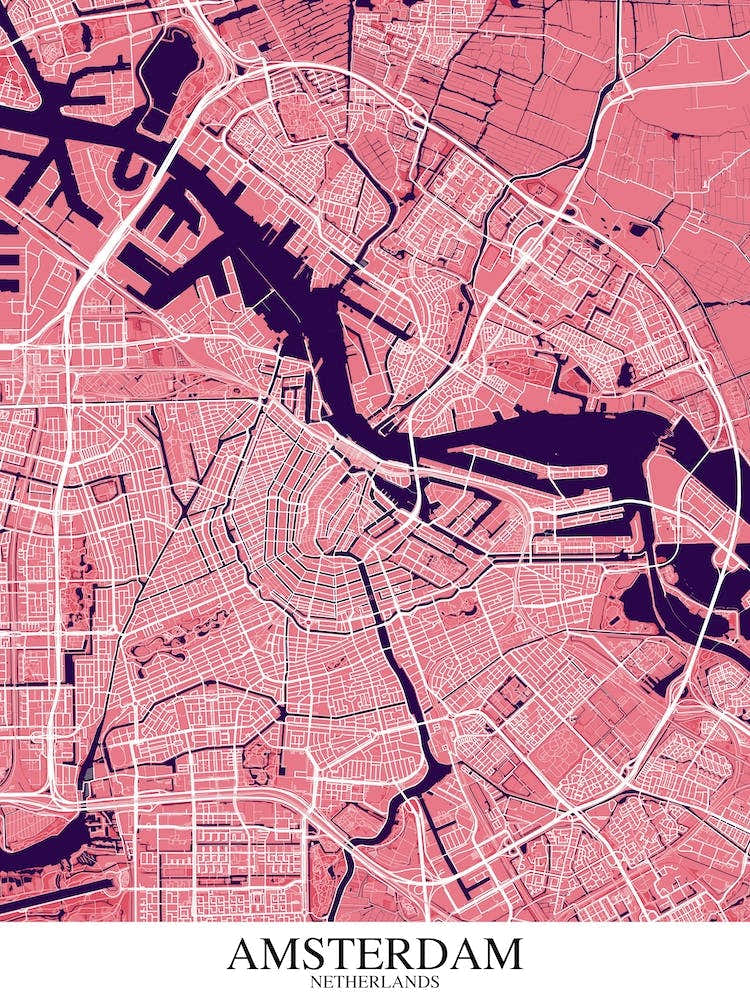 Amsterdam Pink Purple