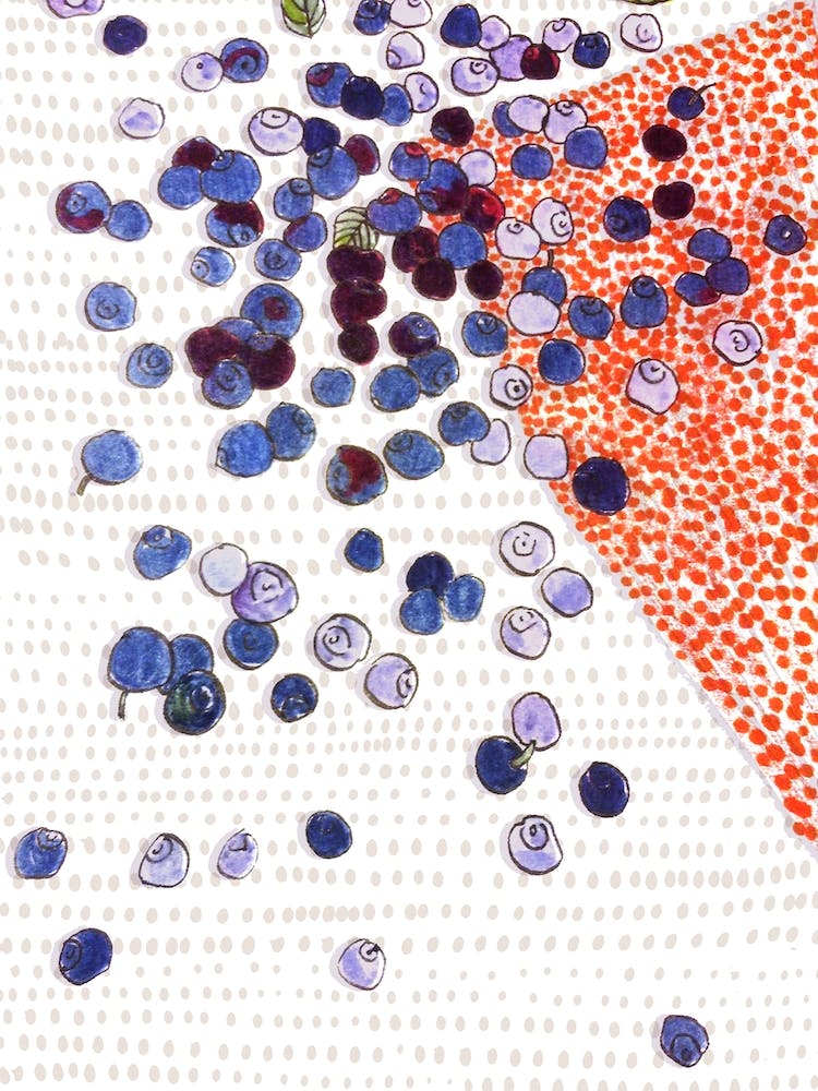 Blueberries On Dotted Ground