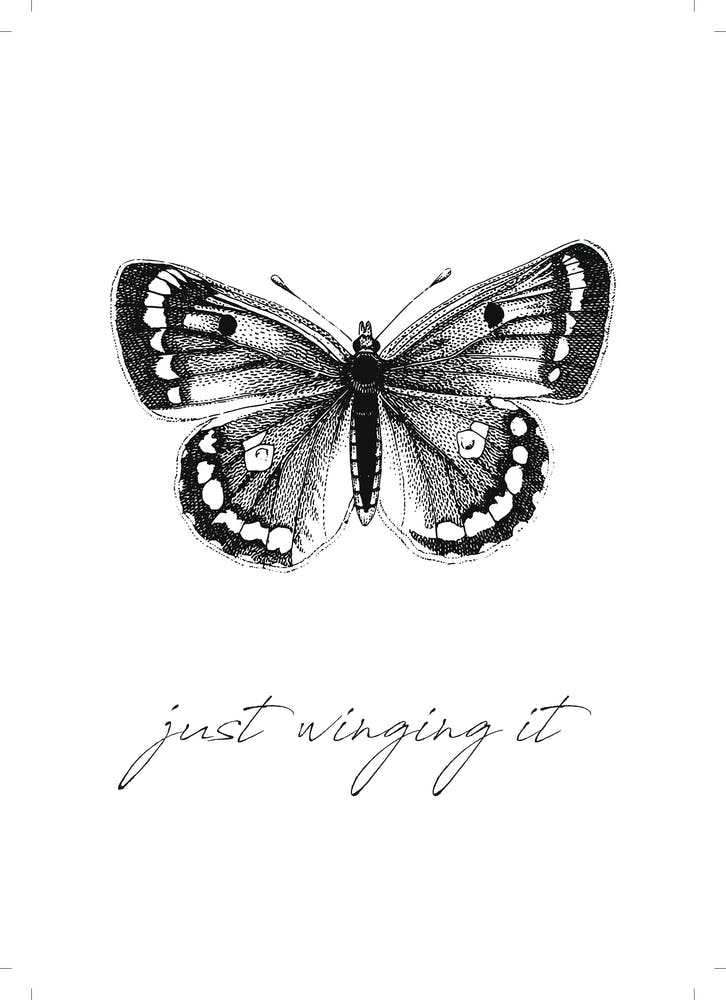 Just Winging It - White