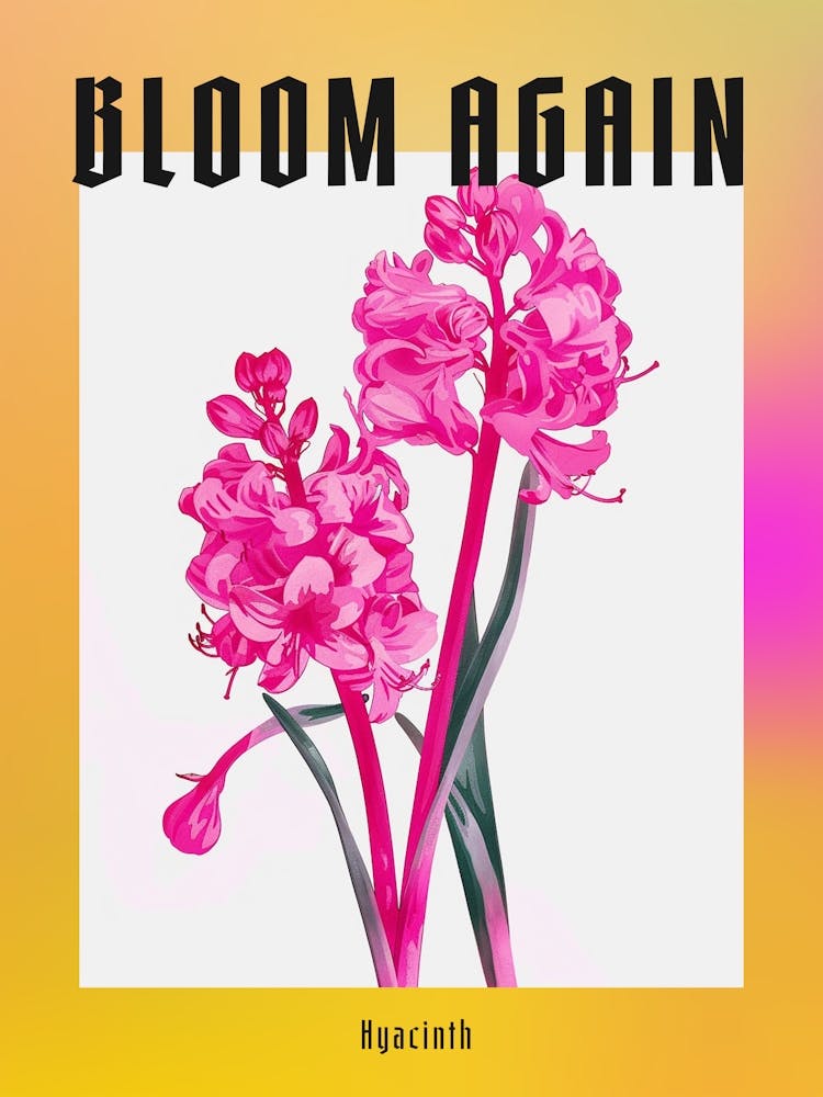 Hot Pink Hyacinth 2 Poster