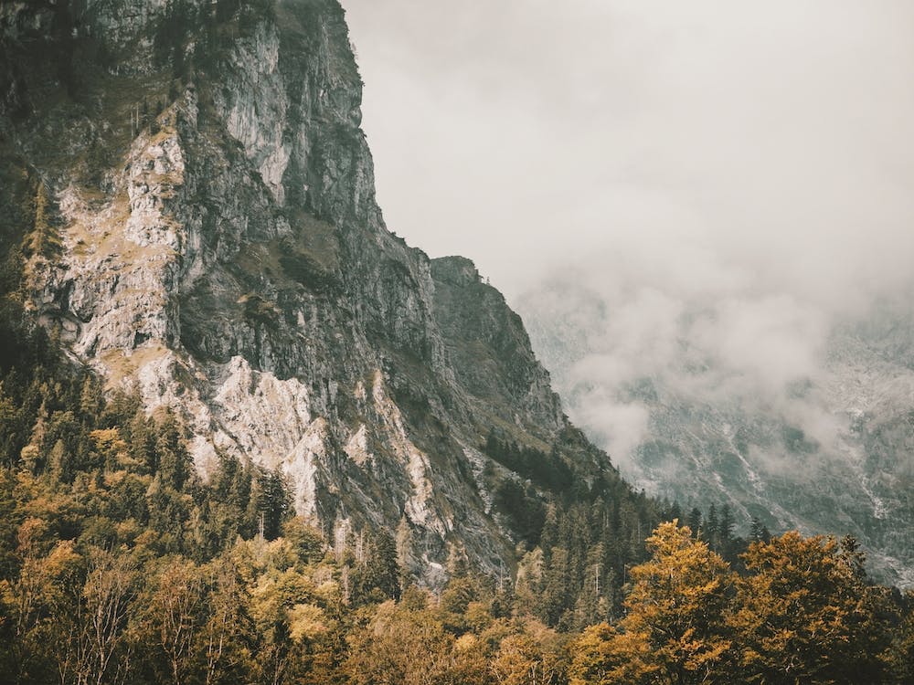 Rugged German Wilderness