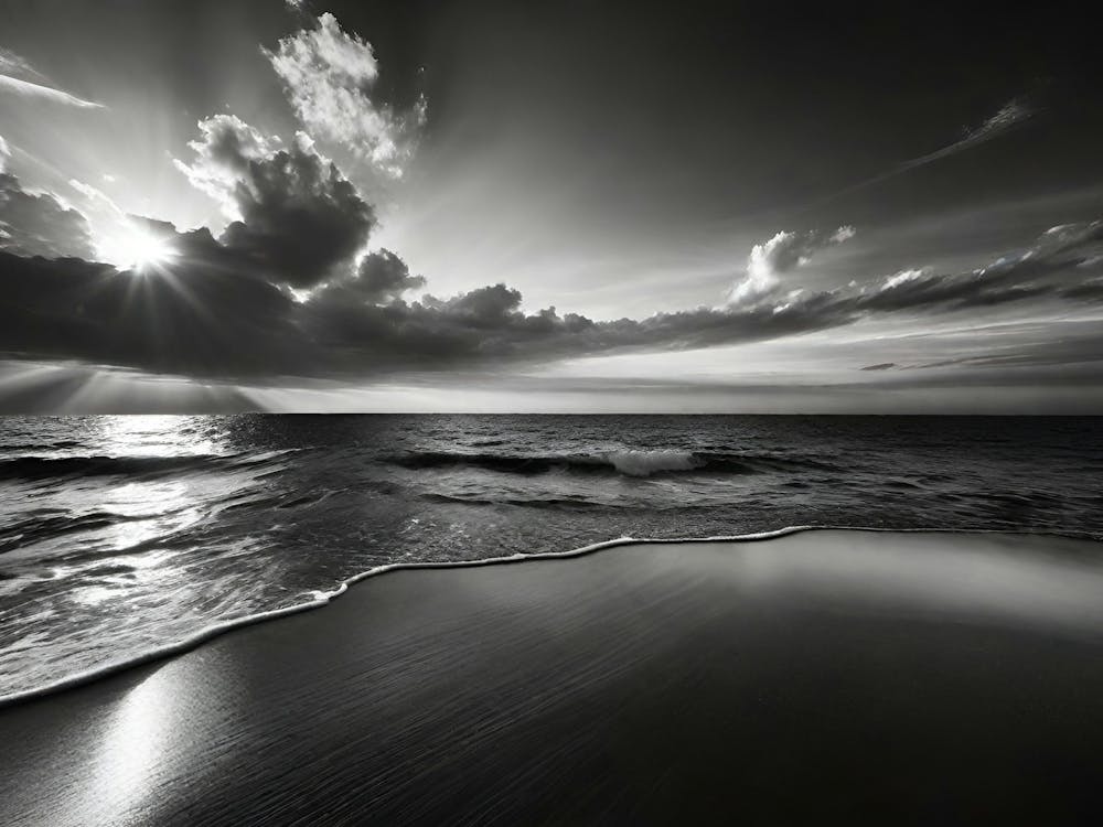 Black And White Photography 45