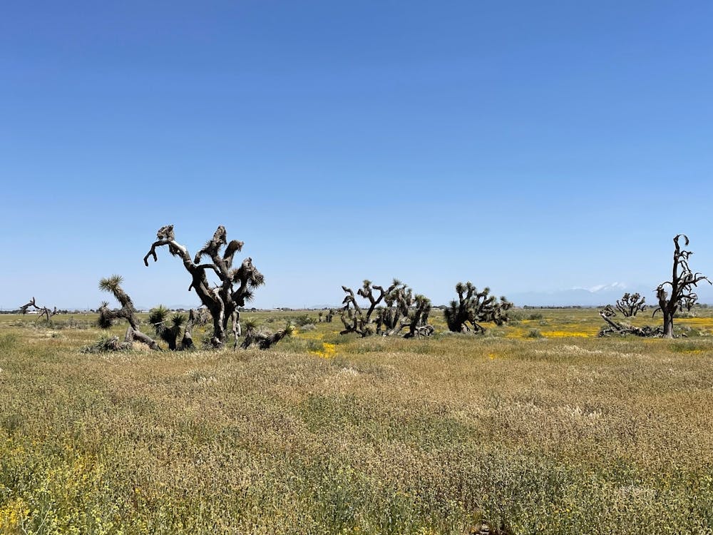 Lancaster - Westside 1