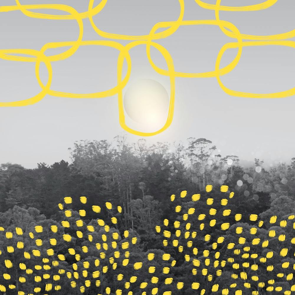 Forest With Yellow Shapes Square