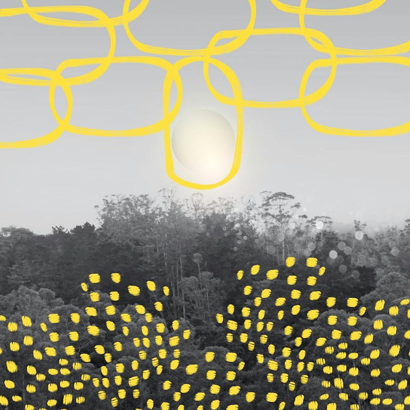 Forêt Avec Formes Jaunes Carré