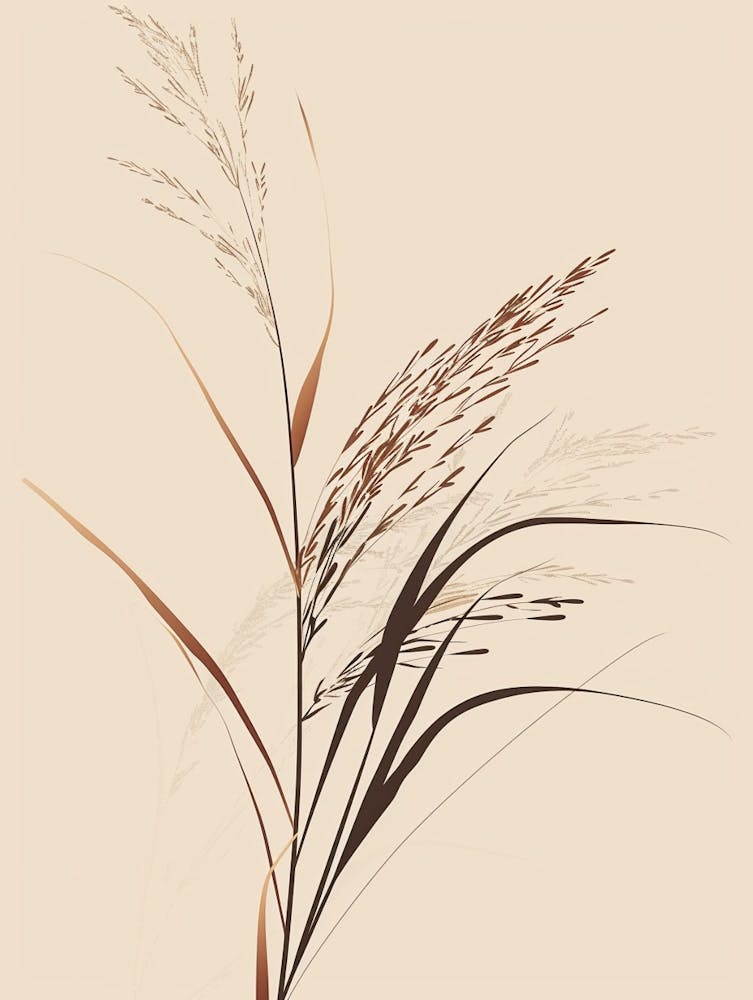 Grass Plant Minimalist Illustration 2