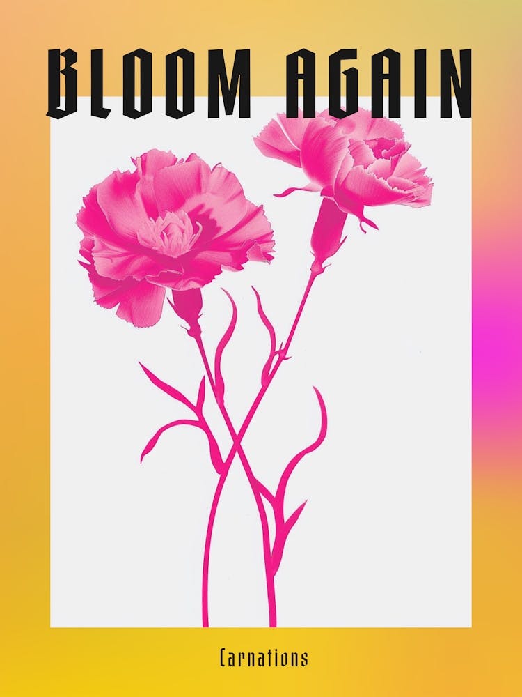 Affiche Œillets Rose Vif 4