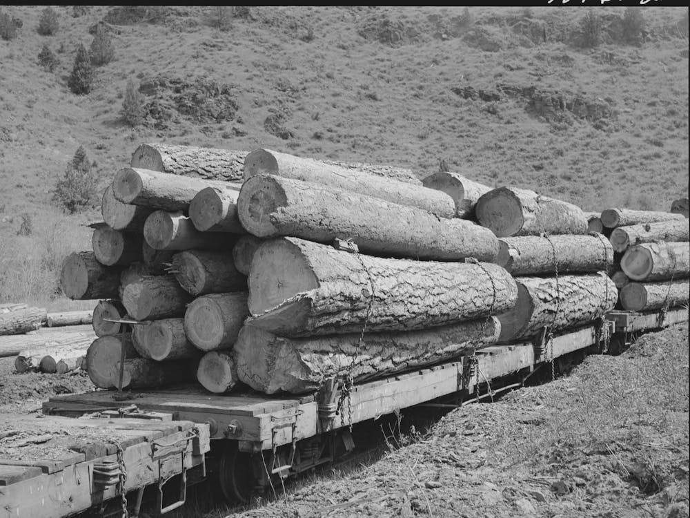 Logs On Flatcar Which Take Them Into Town From Mountain Logging Camp, Baker County, Oregon By Russell Lee