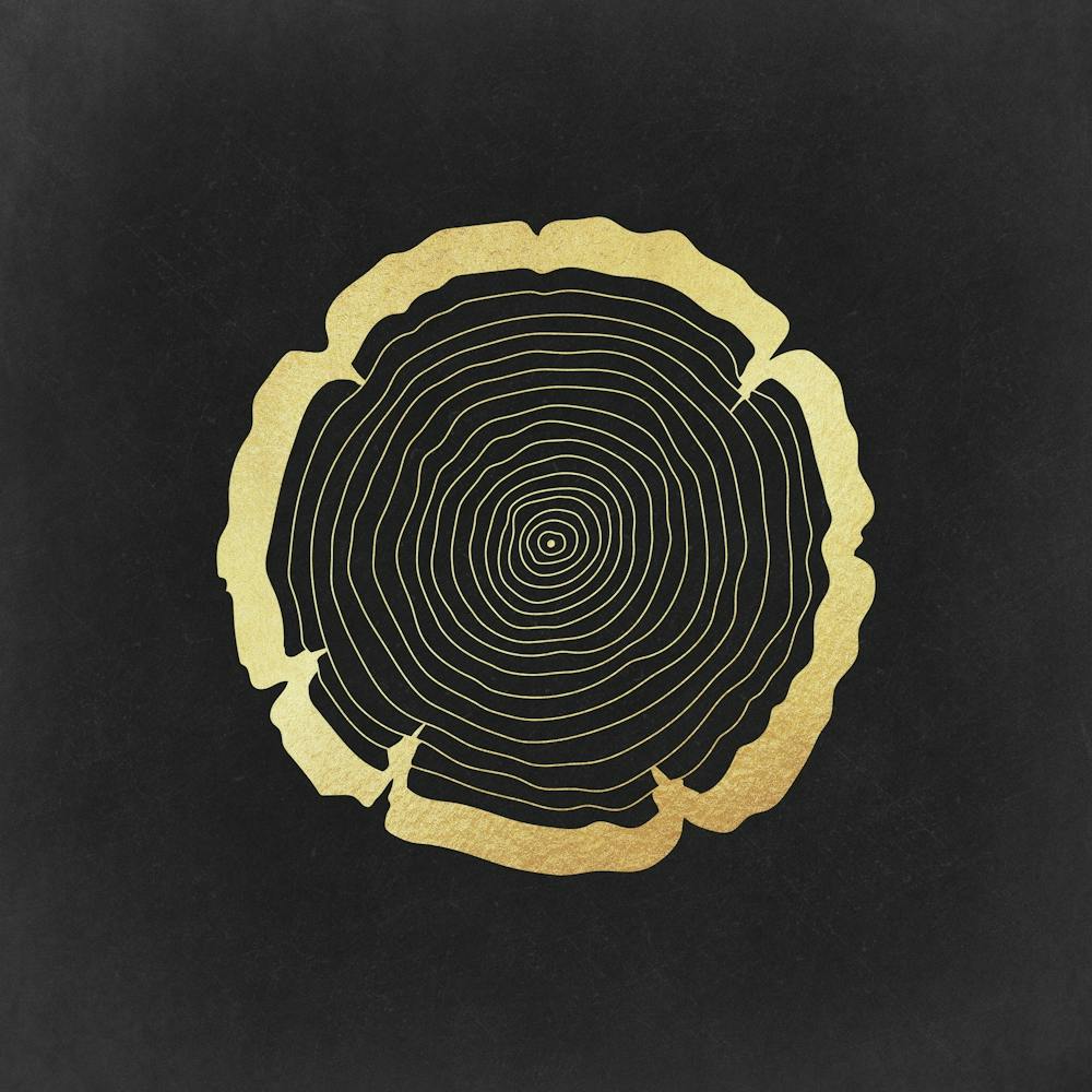 Tree Rings Forest Gold Print