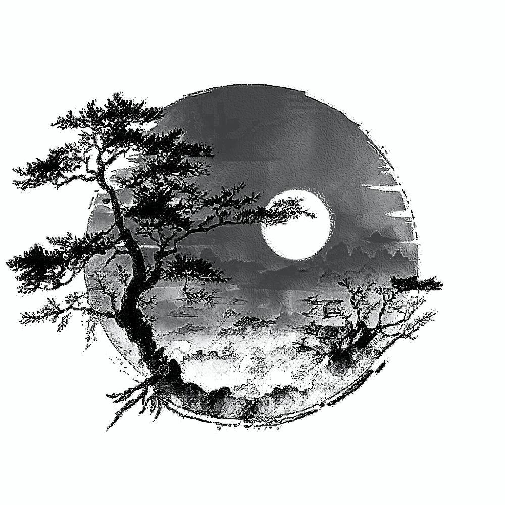 white and black cherry blossoms