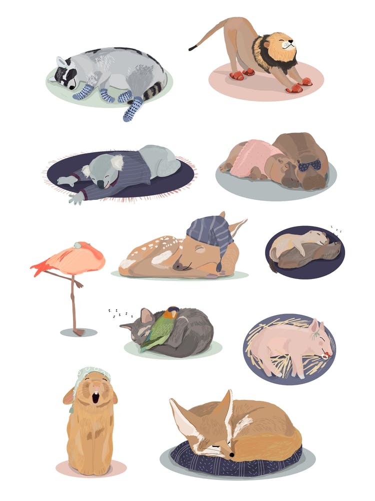 Sleeping Beauty