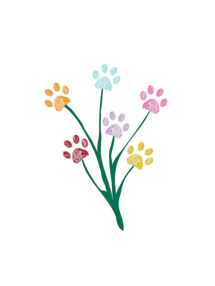Colorful Paws Flower