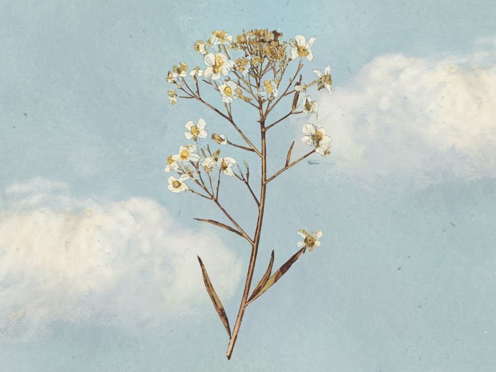 Flowers In The Sky
