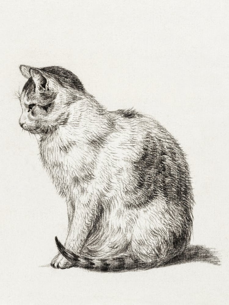 Jean, Bernard Sitting Cat (1819), Jean Bernard