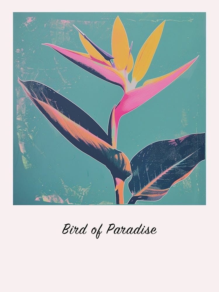 Bird Of Paradise 3 Square Flower Illustration Poster