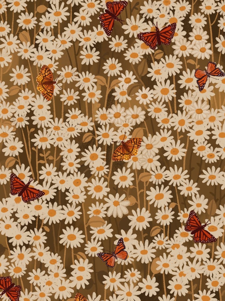 Daisies And Butterflies