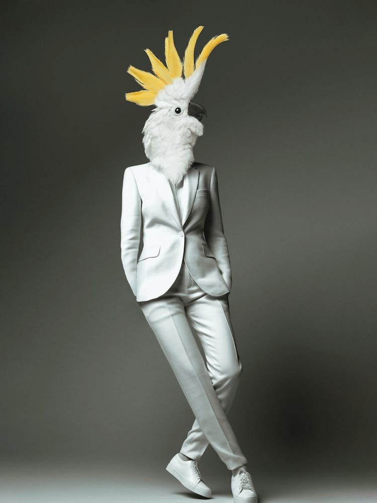 Fashion Cockatoo