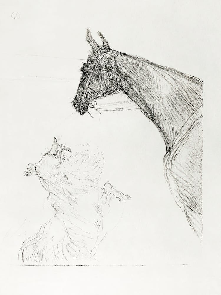 Horse And Collie (1898), Henri de Toulouse-Lautrec