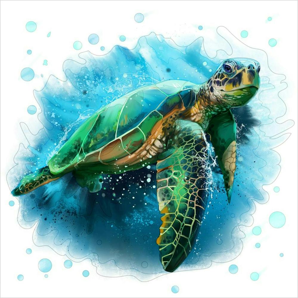 Sea Turtle