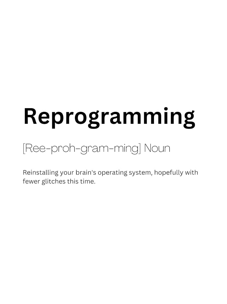 Reprogramming Definition Meaning