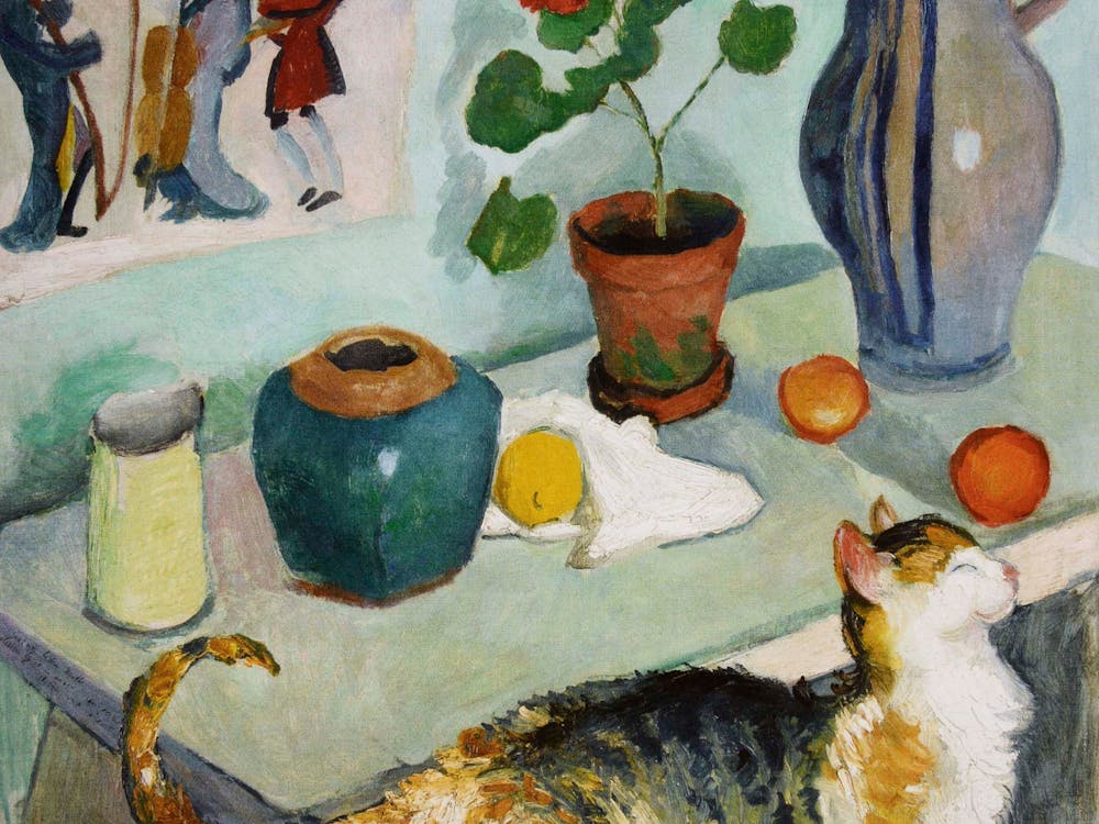 Cat On A Table