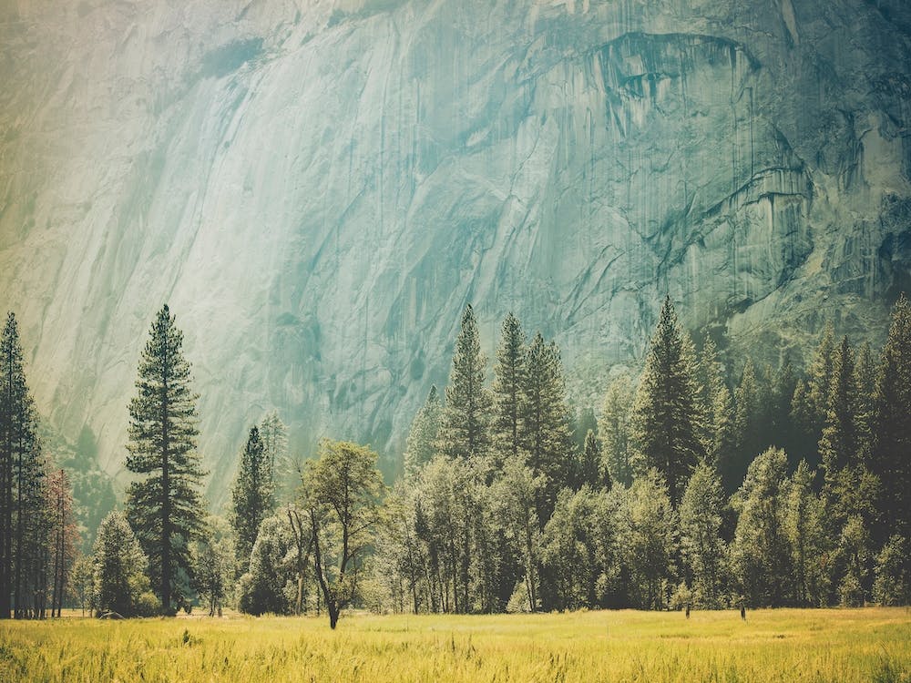 Yosemite Valley