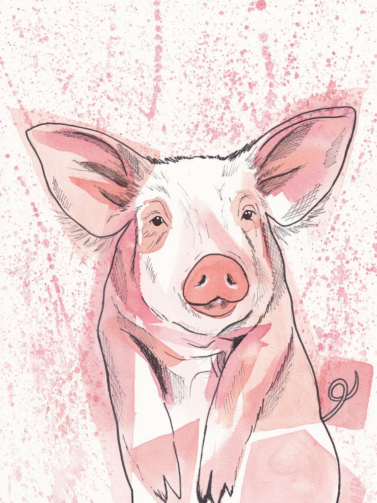 Pig-Watercolour