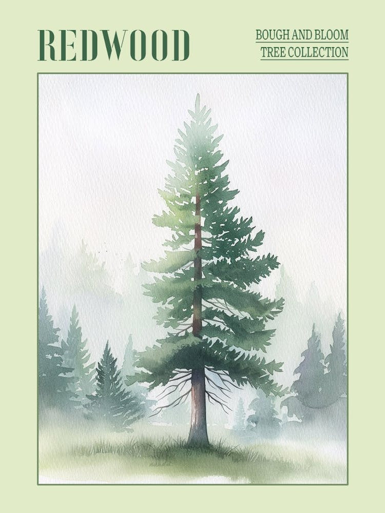 Redwood Tree Atmospheric Watercolour Painting 1 Poster