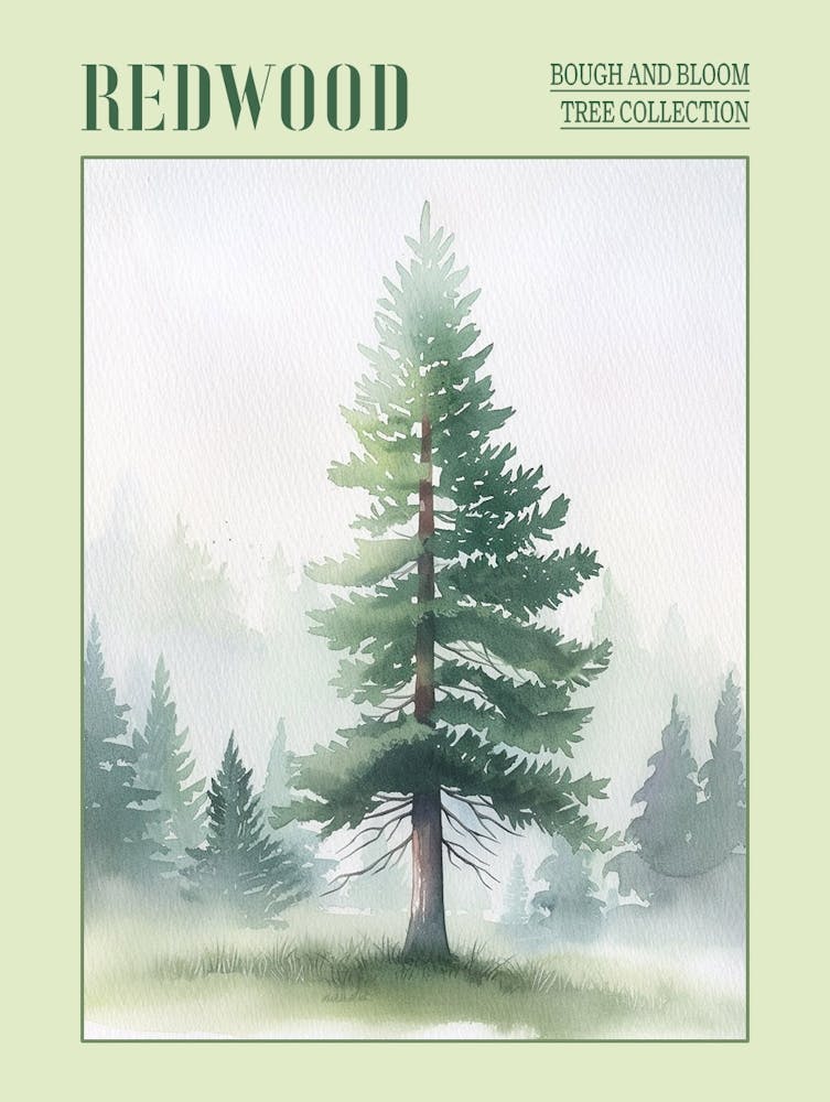 Redwood Tree Atmospheric Watercolour Painting 1 Poster