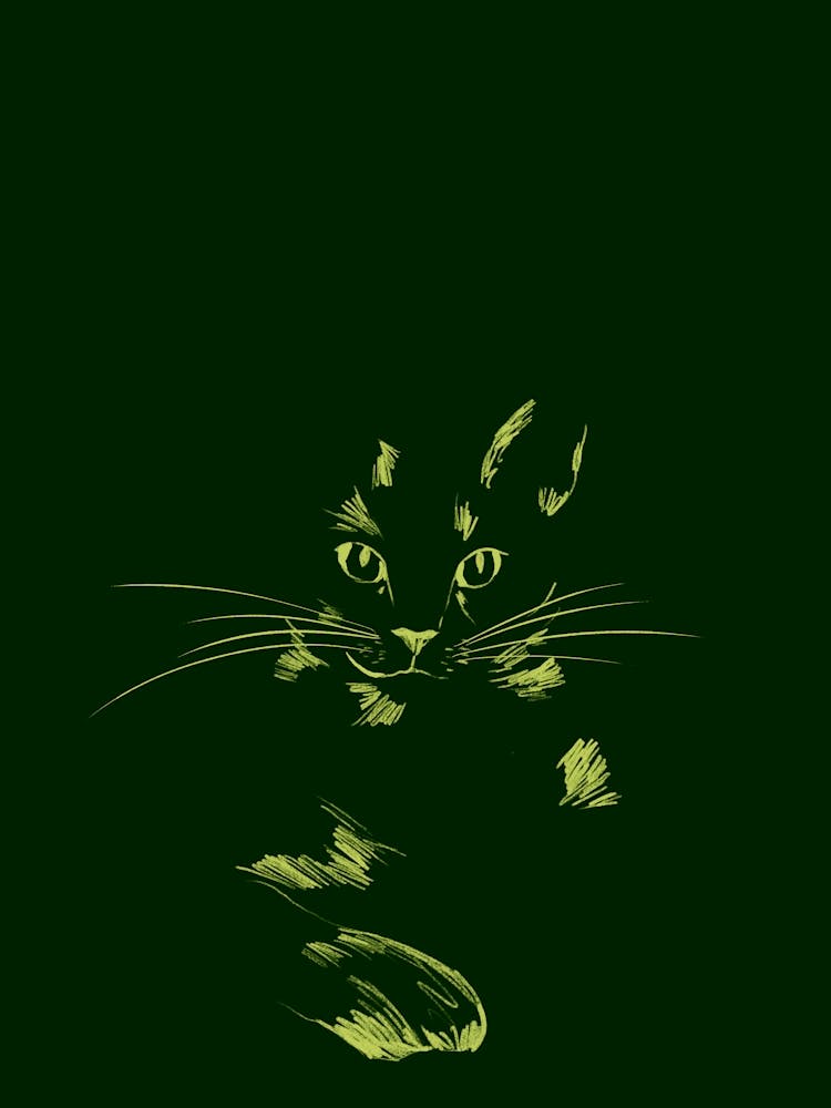 Sketchy Cat In The Dark