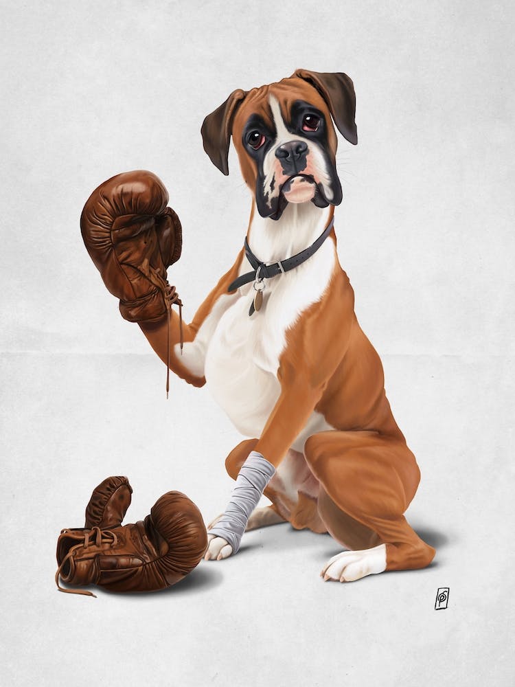 The Boxer (Wordless)