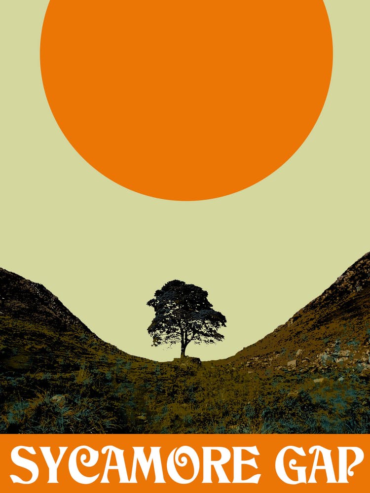 Sycamore Gap No Logo