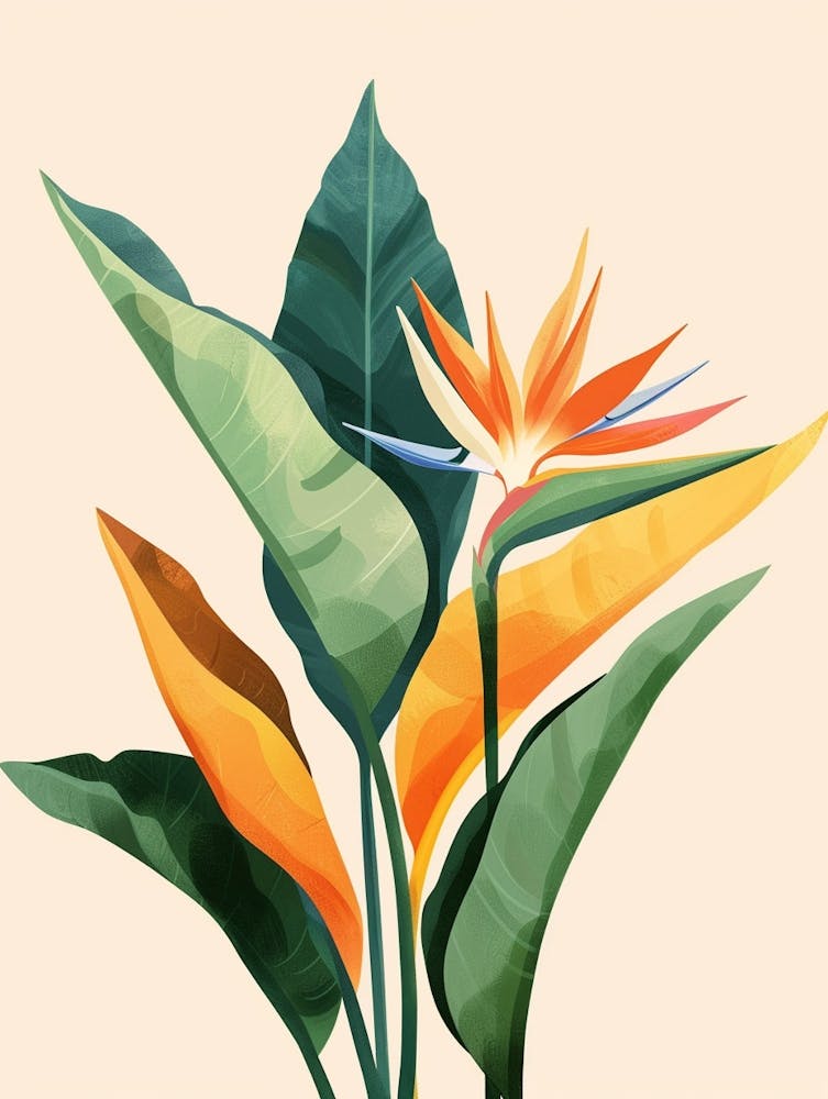 Bird Of Paradise Plant Minimalist Illustration 2