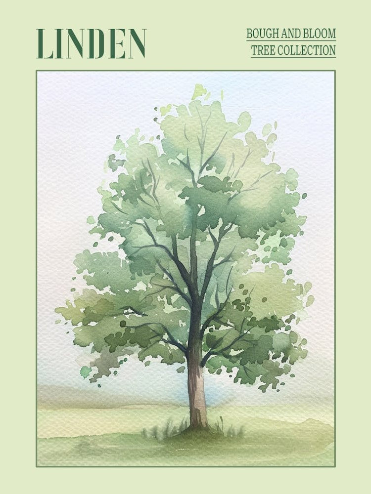Linden Tree Atmospheric Watercolour Painting 1 Poster
