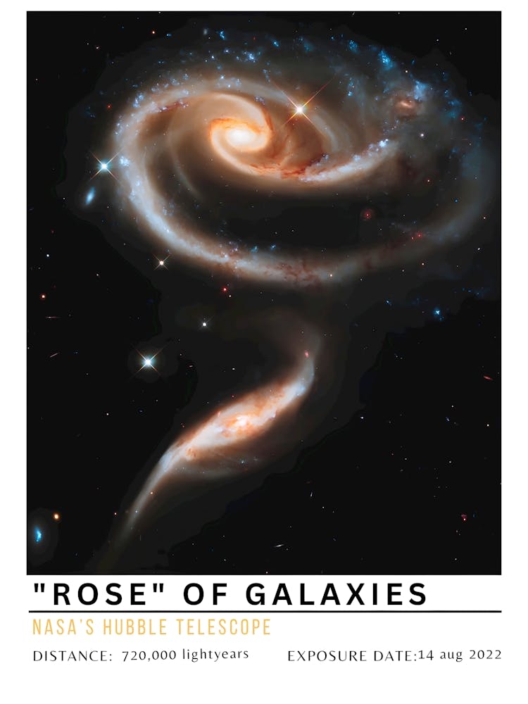 Rose Of Galaxies