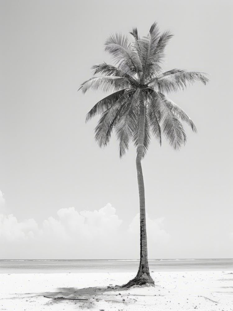Palm Tree On The Beach 3