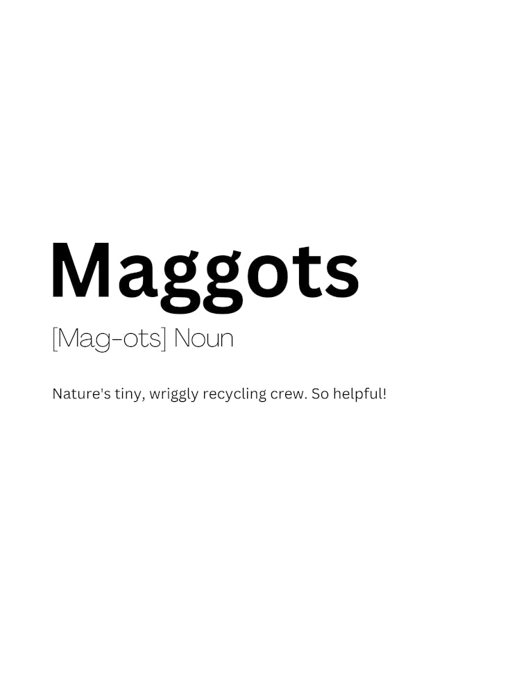 Maggots Definition Meaning