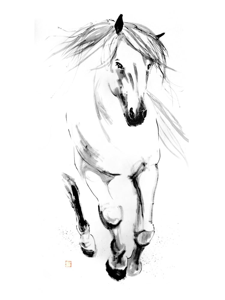 Runnin Horse in Water