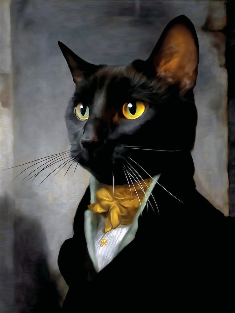 Dr Frog Black Mister Cat Pet Portraits