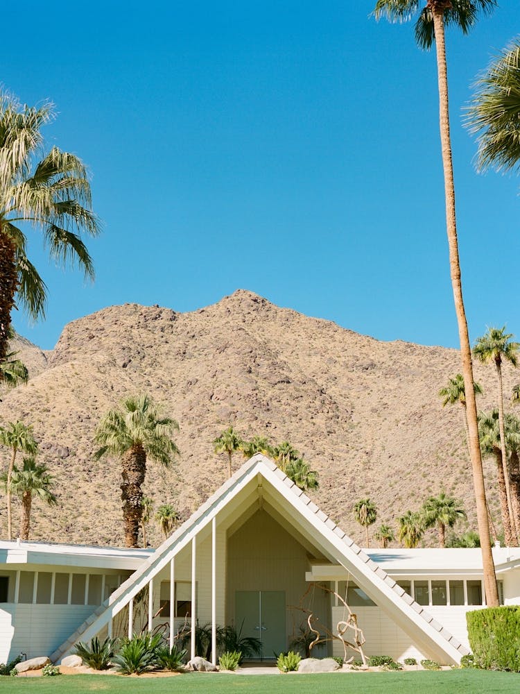 Palm Springs Architecture III on Film